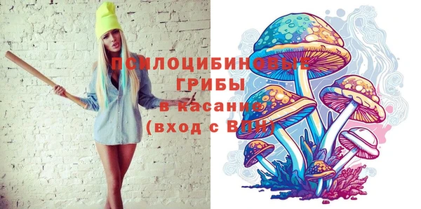 соль курить ск Белокуриха